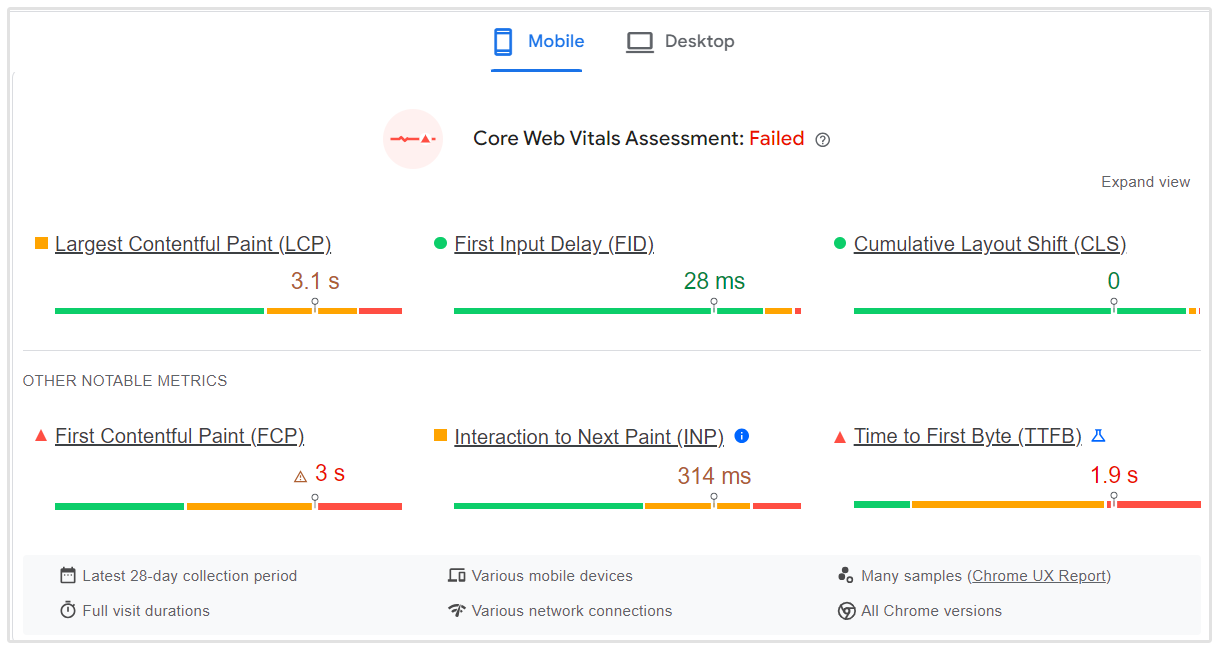 Exemplo do Google Page Speed Insights